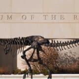 Nauka, životinje i istorija: Misterija parenja dinosaurusa 11