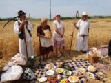 Žetelački dani u Mužlji u slavu novog žita i hleba nasušnog (FOTO) 4