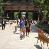 Nara (1): Hram na obodu svete šume 2