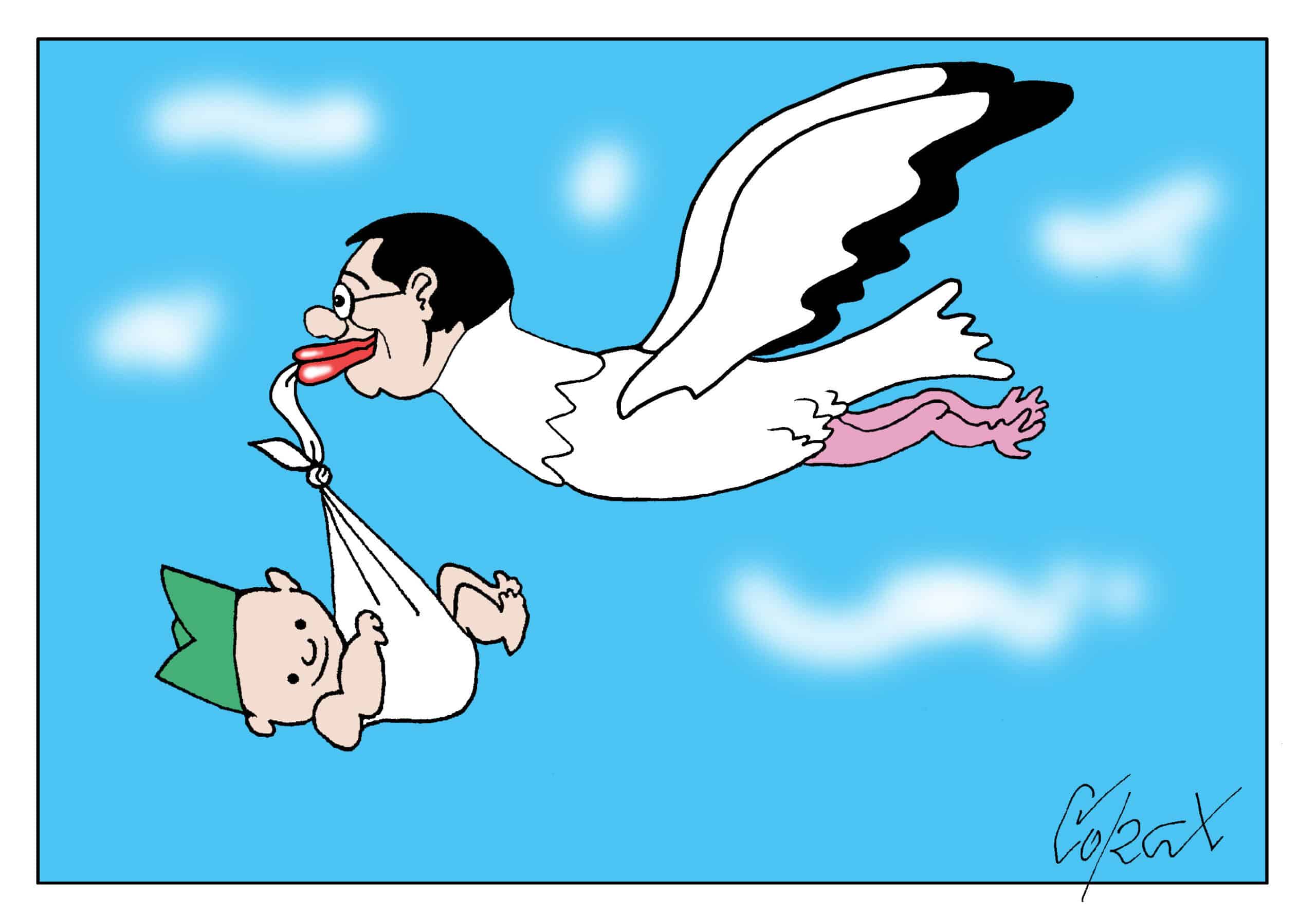 Corax 8