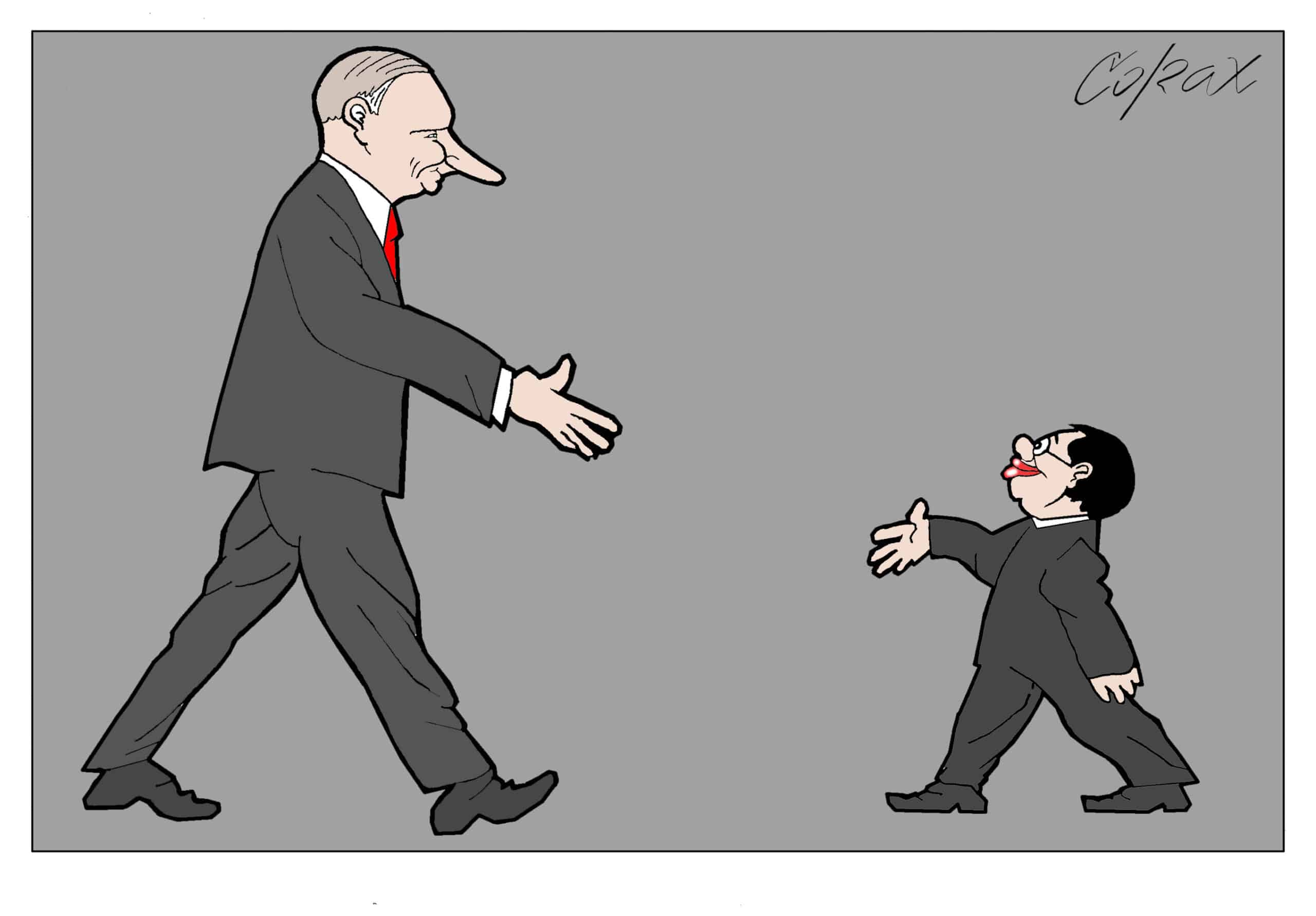 Corax 11