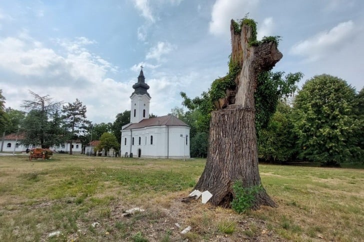 Valjevo: Radljevska crkva dobila status spomenika kulture 5