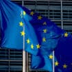 Poslanik Bundestaga: Nemačka i EU ne mogu da garantuju standarde iskopavanja litijuma u Srbiji 15