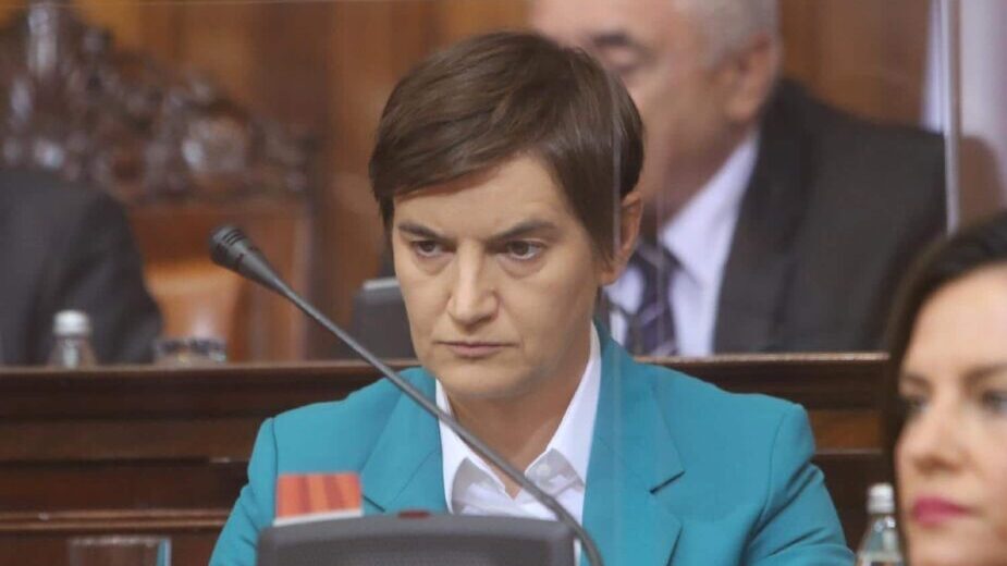 CINS: Saradnik brata Ane Brnabić postao suvlasnik sistema za prijavu eko problema 1