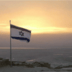 Izraelski ministar spoljnih poslova Zahvalio Vladi Srbije na brzoj reakciji 16