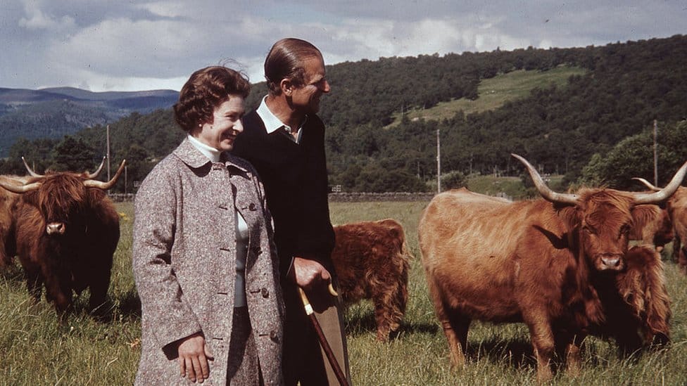 Kraljica Elizabeta i princ Filip na polju sa planinskim govedima u Balmoralu 1972. godine