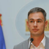 Aleksić: Neophodno održati "referendum za opstanak Srbije“ 8