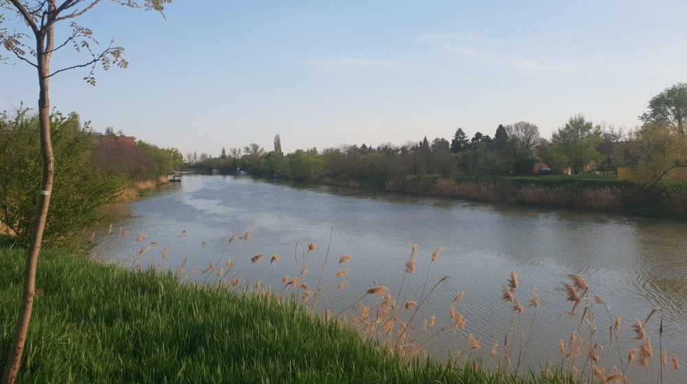 Poruka heroja koji je uskočio u kanal pun vode i spasio majku i dete iz prevrnutog automobila 11