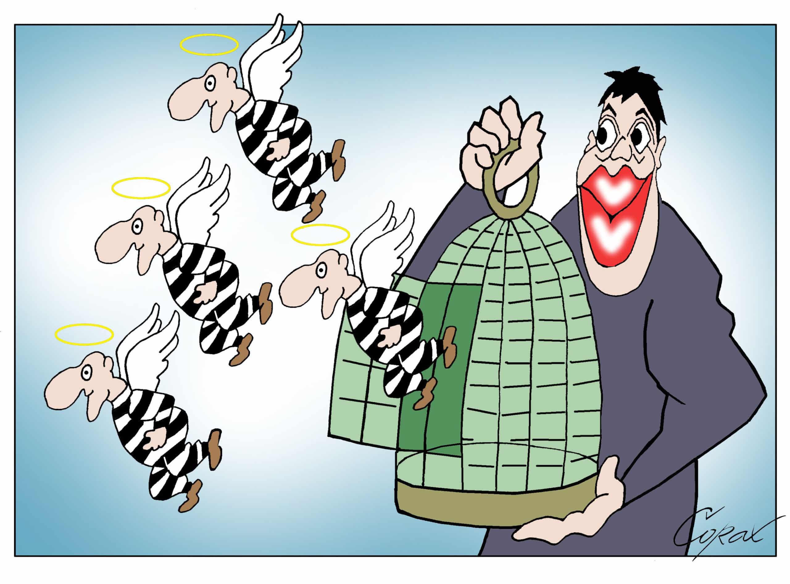 Corax 6