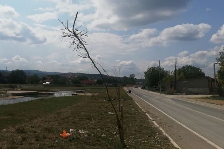 Kolubarske: Niko nije odgovoran za sušenje 150 sadnica u Valjevu 2