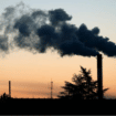 Zagađenje vazduha povezano sa oko 135 miliona prevremenih smrti širom sveta: Šta je pokazala studija zasnovana na 40-ogodišnjim podacima? 13