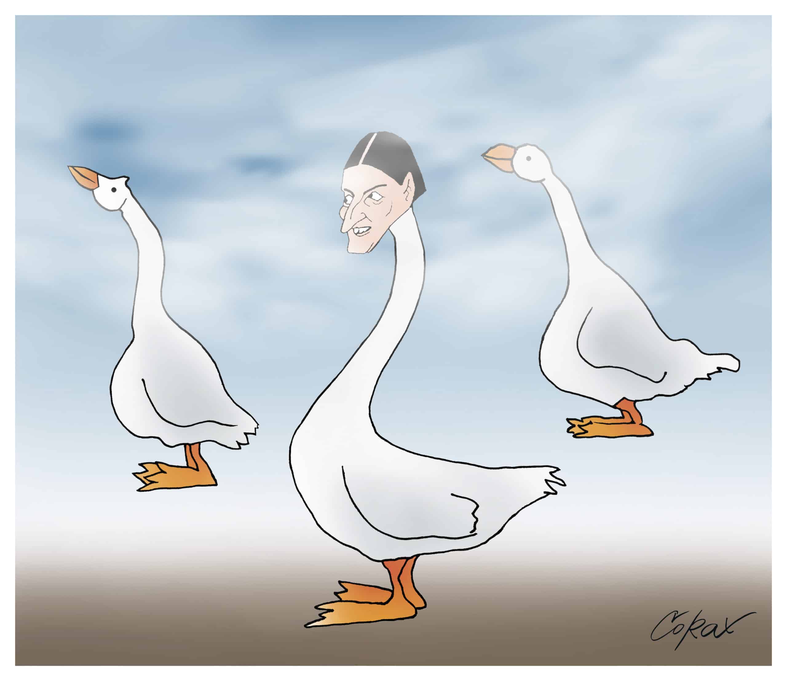 Corax 4