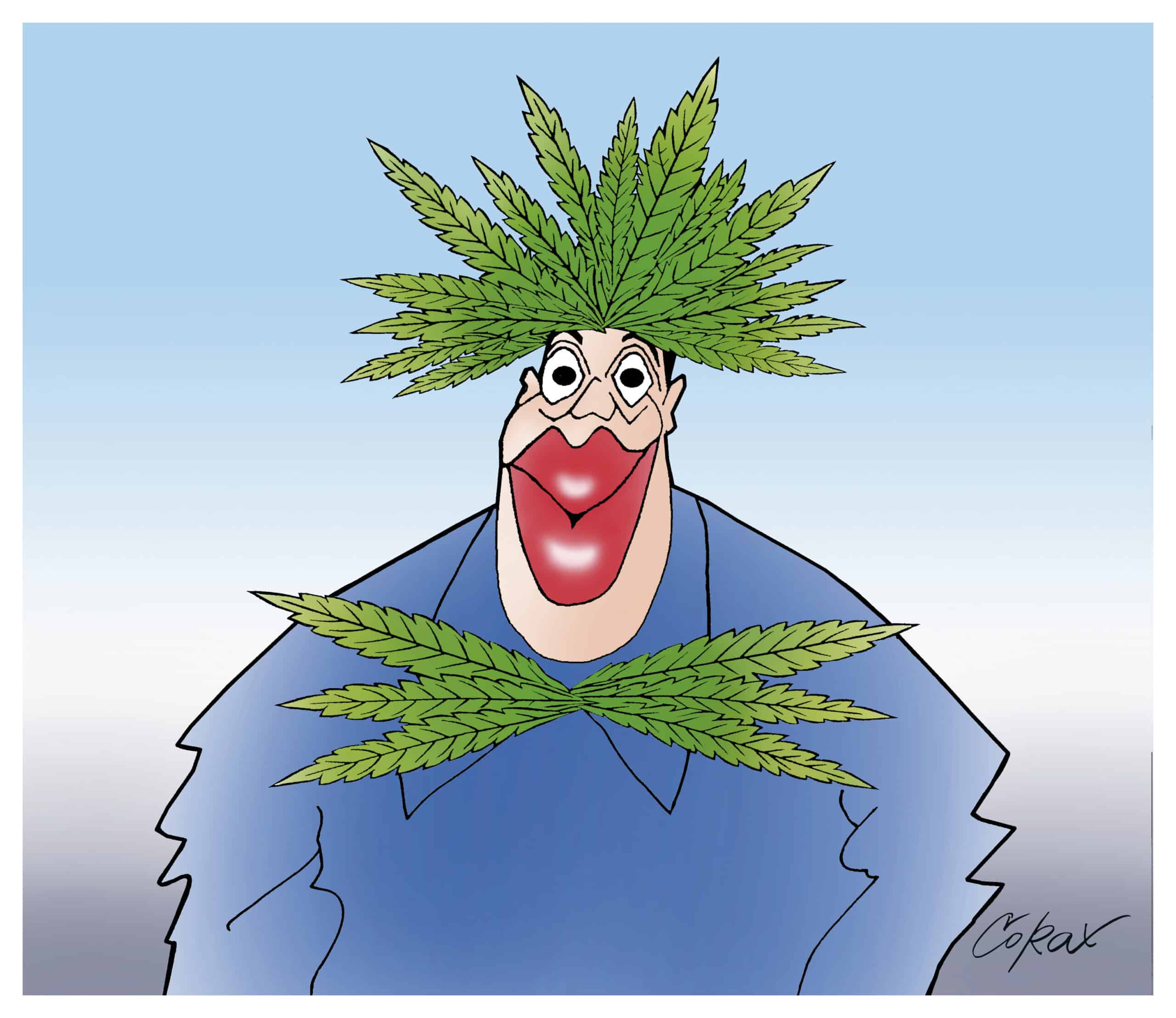 Corax 8