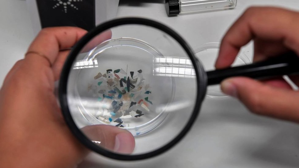 Microplastics under a magnifying glass