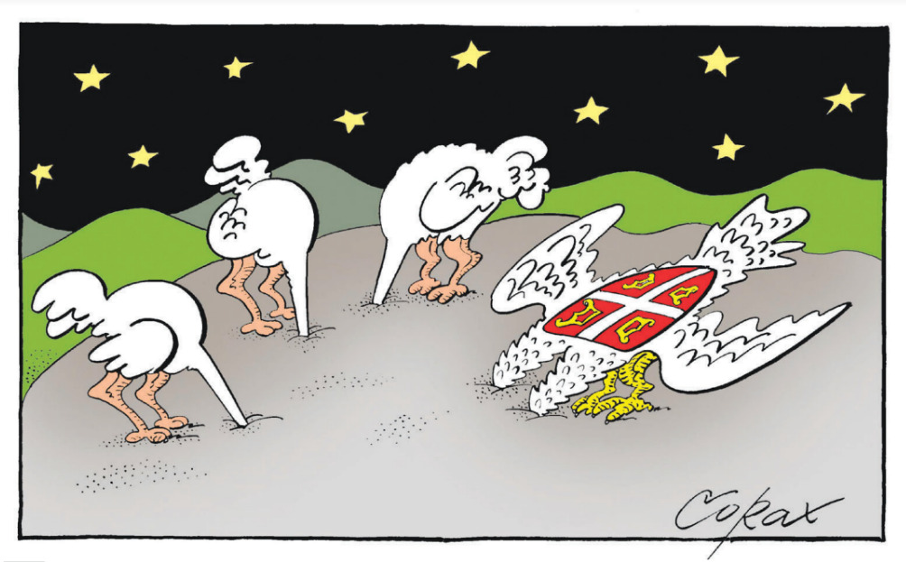 Corax 15