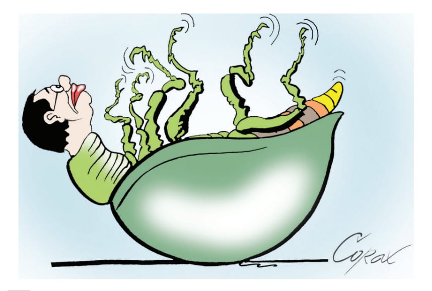 Corax 12