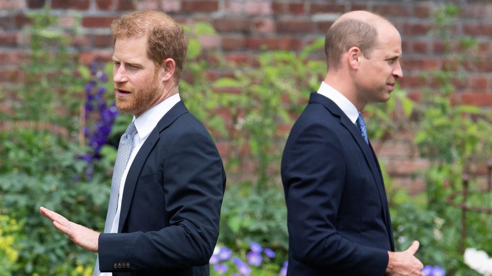 Britain's Prince Harry, Duke of Sussex (L) and Britain's Prince William, Duke of Cambridge attend the unveiling of a statue of their mother, Princess Diana at The Sunken Garden in Kensington Palace, London on July 1, 2021, which would have been her 60th birthday.