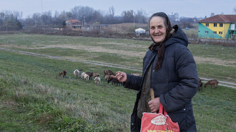 Za čije babe zdravlje: Kako i zašto smo počeli da koristimo ovaj izraz? 1