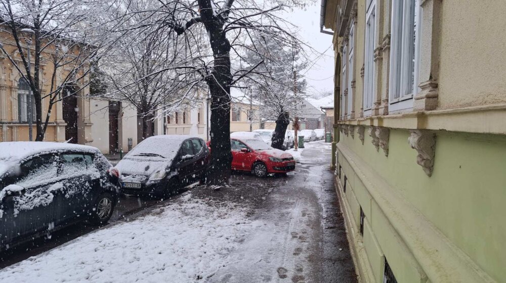 Novi Sad prekrio sneg: Saobraćaj usporen, kamioni ne mogu preko Venca 1