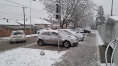 Novi Sad prekrio sneg: Saobraćaj usporen, kamioni ne mogu preko Venca 4
