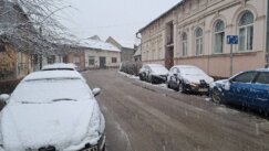 Novi Sad prekrio sneg: Saobraćaj usporen, kamioni ne mogu preko Venca 5