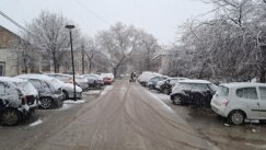 Novi Sad prekrio sneg: Saobraćaj usporen, kamioni ne mogu preko Venca 7