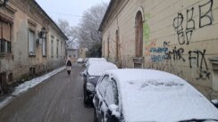 Novi Sad prekrio sneg: Saobraćaj usporen, kamioni ne mogu preko Venca 2