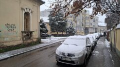 Novi Sad prekrio sneg: Saobraćaj usporen, kamioni ne mogu preko Venca 3