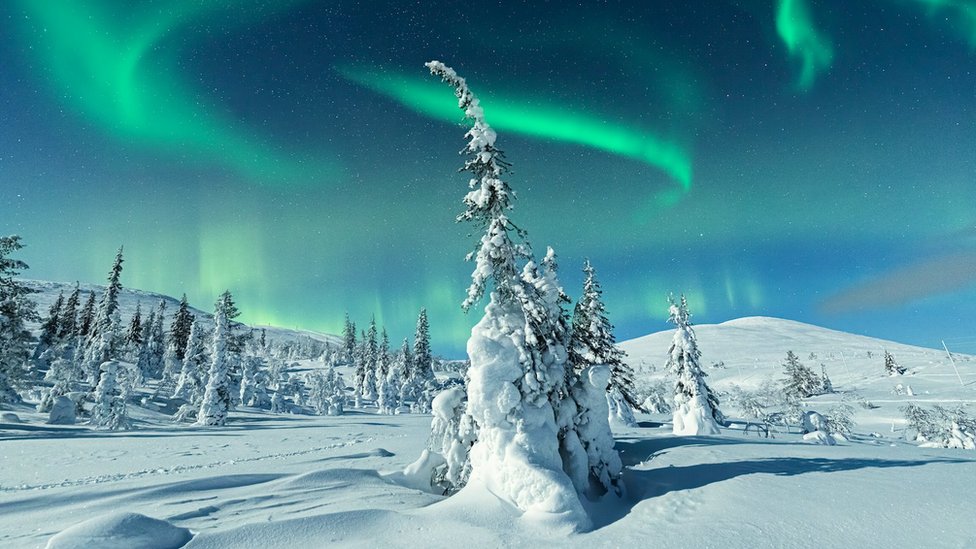 Moonlight on snow capped forest under the Northern Lights, Levi, Lapland, Finland