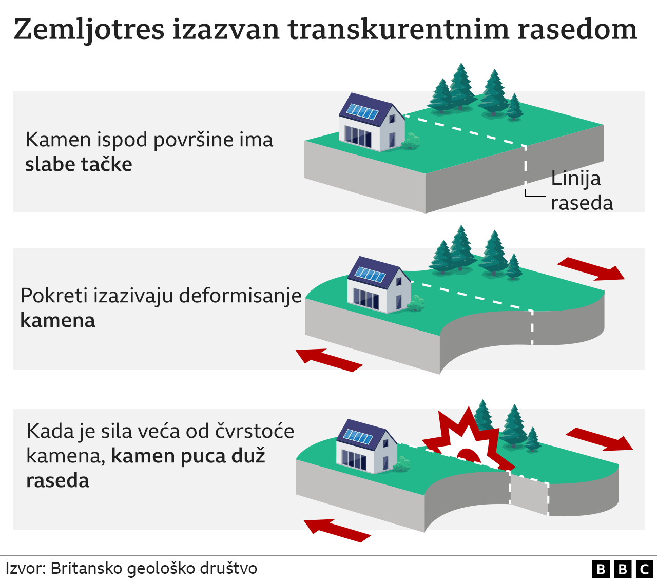 Transkurentni rased