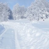 Srbija i vremenske nepogode: Kako se meštani najhladnijih krajeva Srbije bore sa hladnoćom, a šta kažu stručnjaci 12