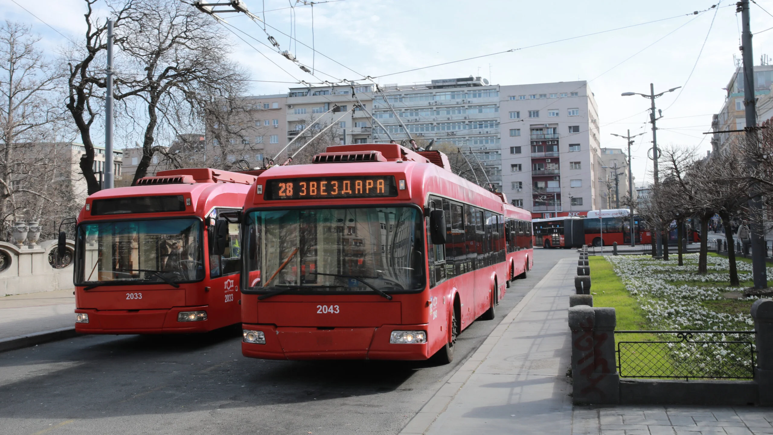 Gradski prevoz u Beogradu, Trolejbusi, Studentski trg