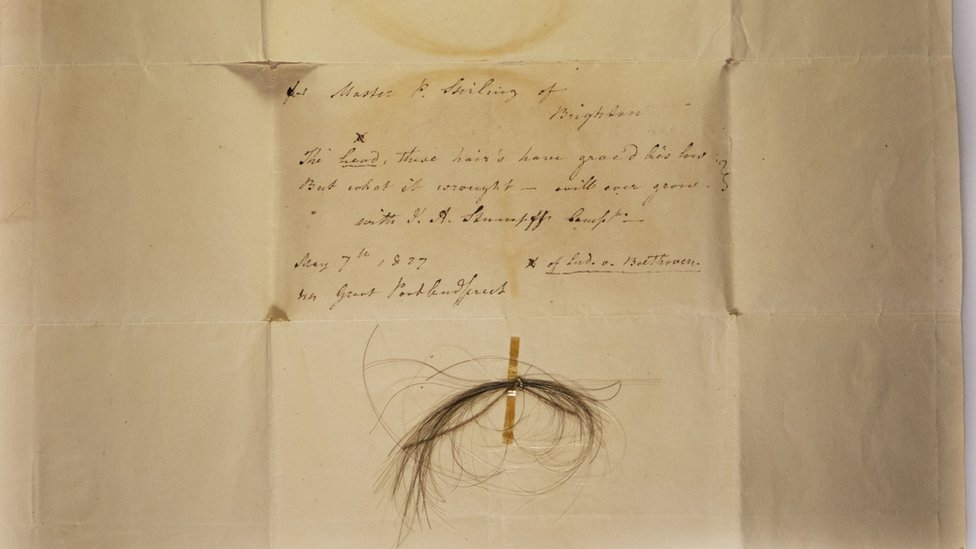 Beethoven's hair