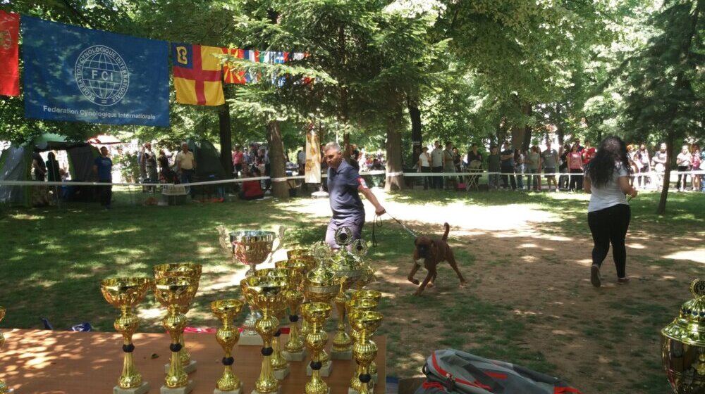 Tradicionalna Međunarodna izložba pasa u Sportsko-rekreativnom centru u Vranju 1