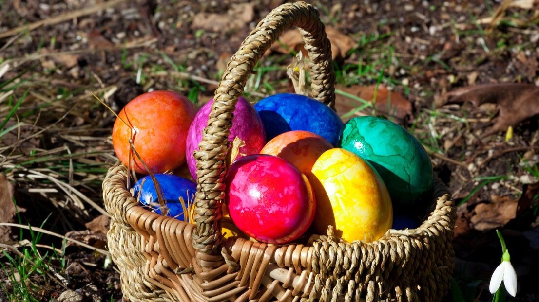 Bliži se Prvi maj i Uskrs: Kako da smanjimo bacanje hrane? 2