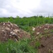 SSP: Vlast u Zrenjaninu poslove uklanjanja divljih deponija dodelila firmi "EkoMaber" 14
