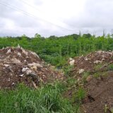 SSP: Vlast u Zrenjaninu poslove uklanjanja divljih deponija dodelila firmi "EkoMaber" 16