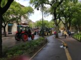 Subotički poljoprivrednici radikalizovali protest: U centru grada 45 traktora, tokom dana još dve blokade Štrosmajerove ulice 9