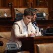 Zašto se Ana Brnabić beskrajno raduje raspravi o litijumu, koje neće biti ? 11