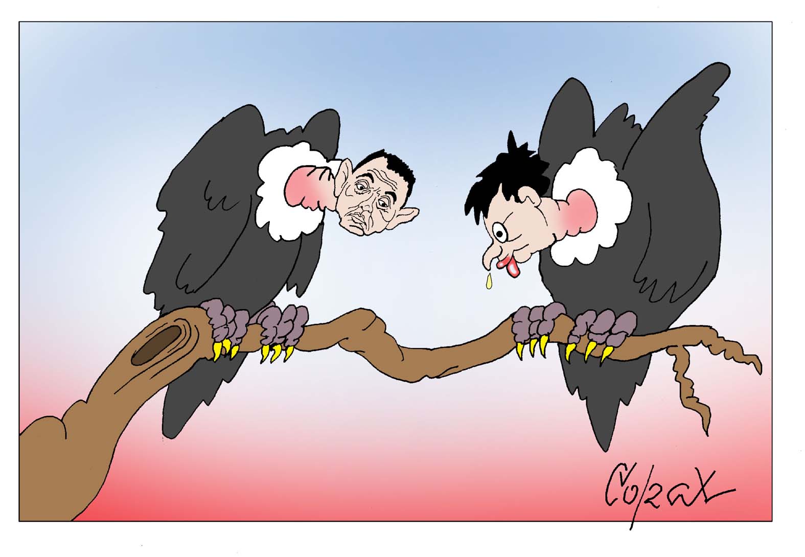 Corax 11