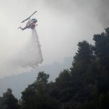 Požar zahvatio borovu šumu kod Pljevalja, vojni helikopter uključen u gašenje 9