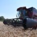 Poljoprivrednici posejali manje pšenice jer nemaju novca: Godina dobra, ali 16 odsto manje će je proizvesti 9