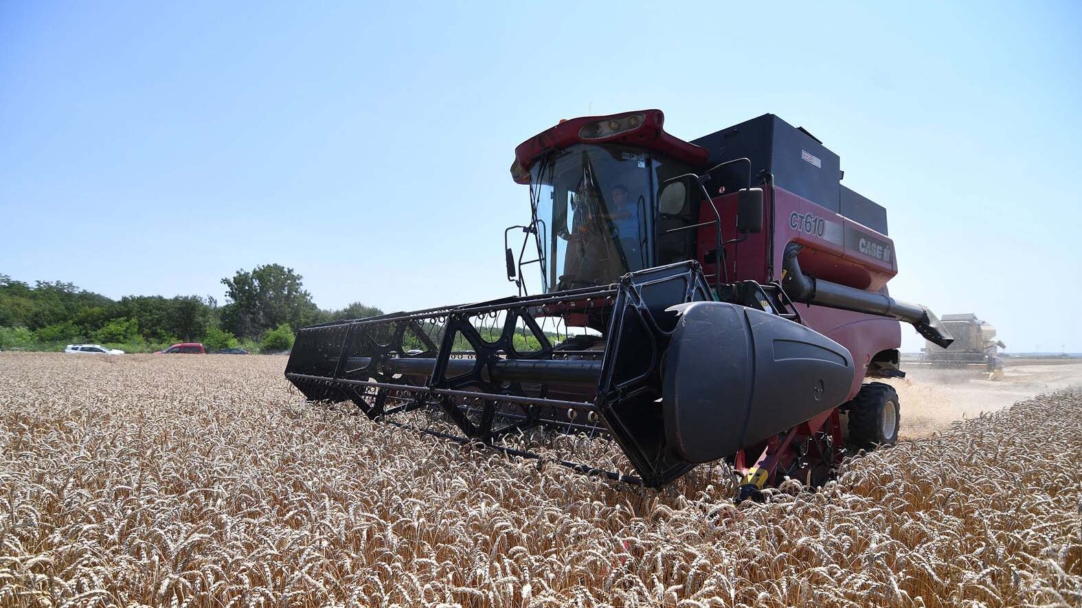 Agronom: U pojedinim zonama grad uništio 100 odsto useva i tu nema popravke