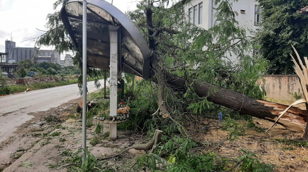 Još se sanira šteta od nevremena u Zrenjaninu, nema povređenih 1