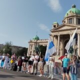 Ispred Skupštine Srbije održan skup podrške ruskom antiratnom aktivisti Peteru Nikitinu 8
