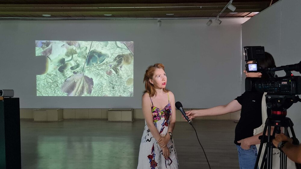 Zrenjanin: Izloženi radovi Milene Popov o godišnjim dobima 1
