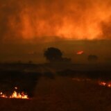 Sedmi dan borbe protiv požara u Grčkoj: Posebno teško na severu zemlje 1