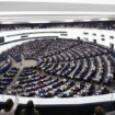 Šta nam donose izbori za Evropski parlament? 10