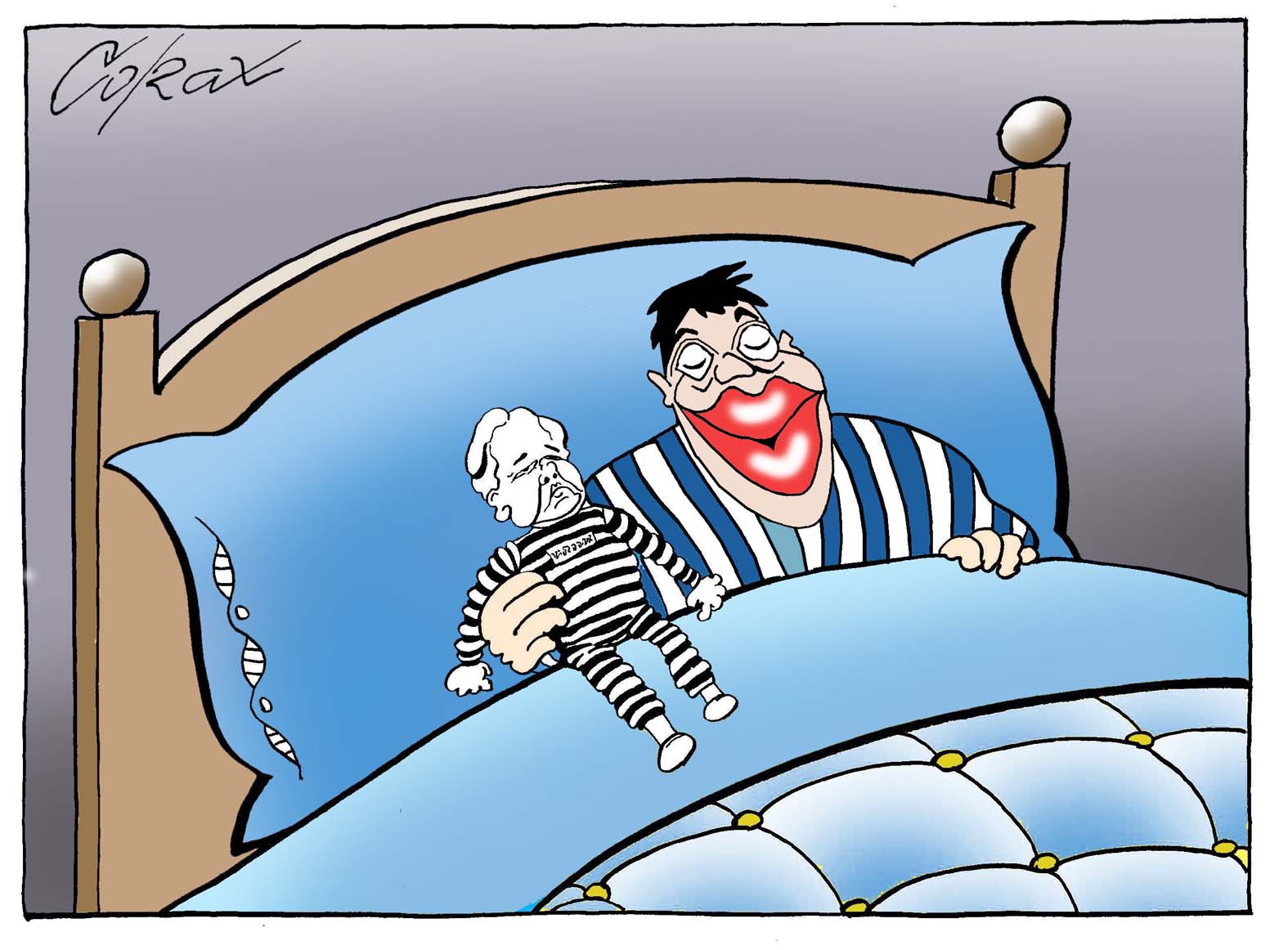 Corax 8