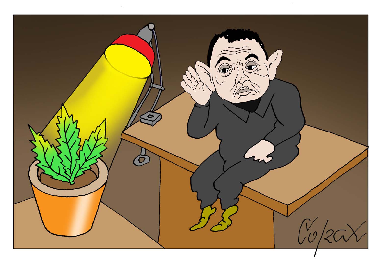 Corax 8